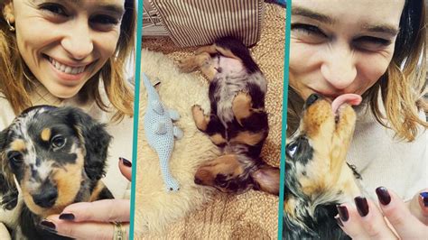 emilia clarke doggy|Emilia Clarke’s Adorable New ‘Main Squeeze’ Is A Puppy Named .